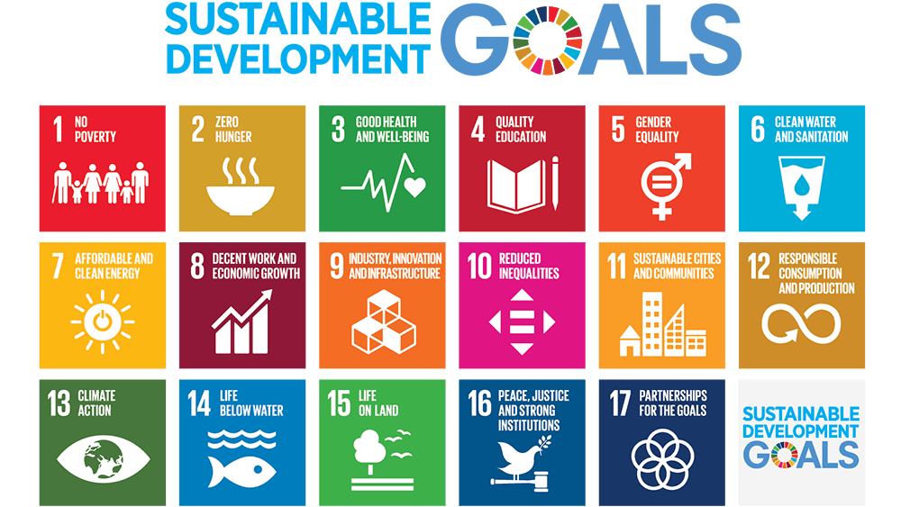 UN sustainability survey