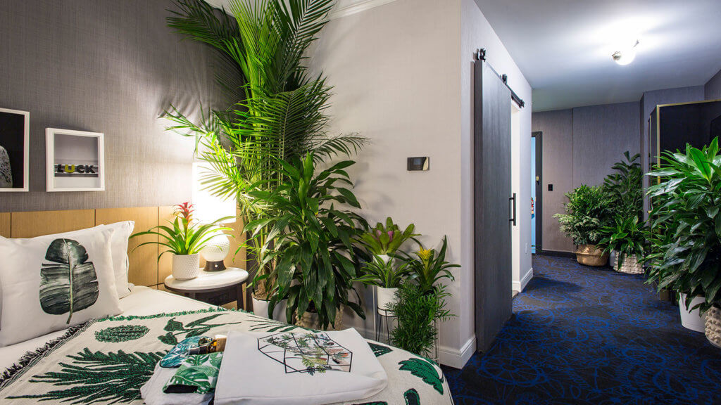 plant hotel