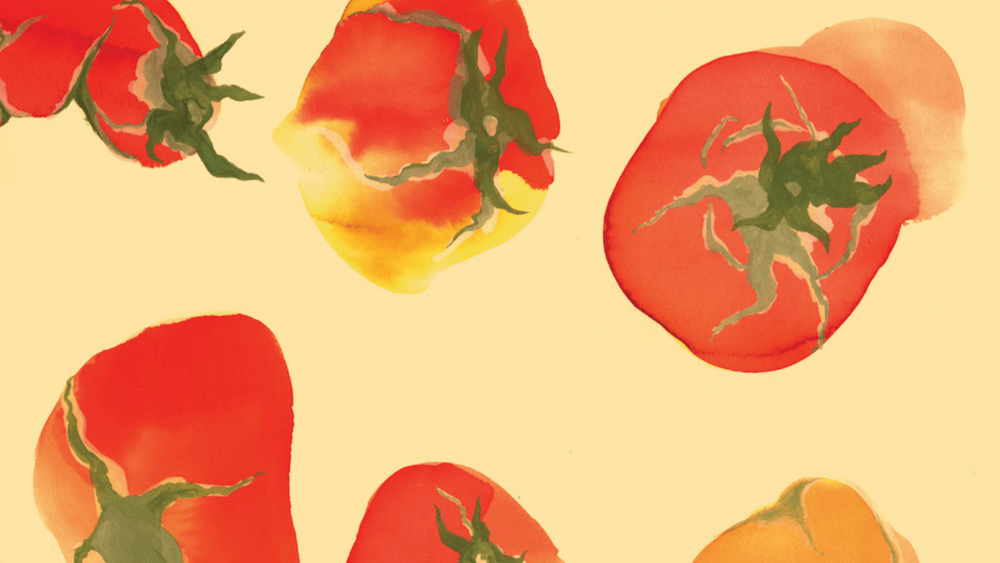 real tomatoes are ugly