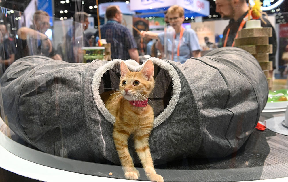 Global Pet Expo The Show Must Go On Despite Covid 19