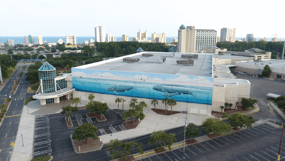 The “Whaling Wall” mural on the Myrtle Beach Convention Center celebrates local marine life.