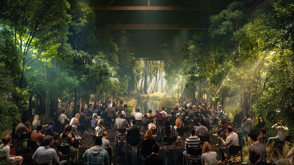 Conference of the Trees