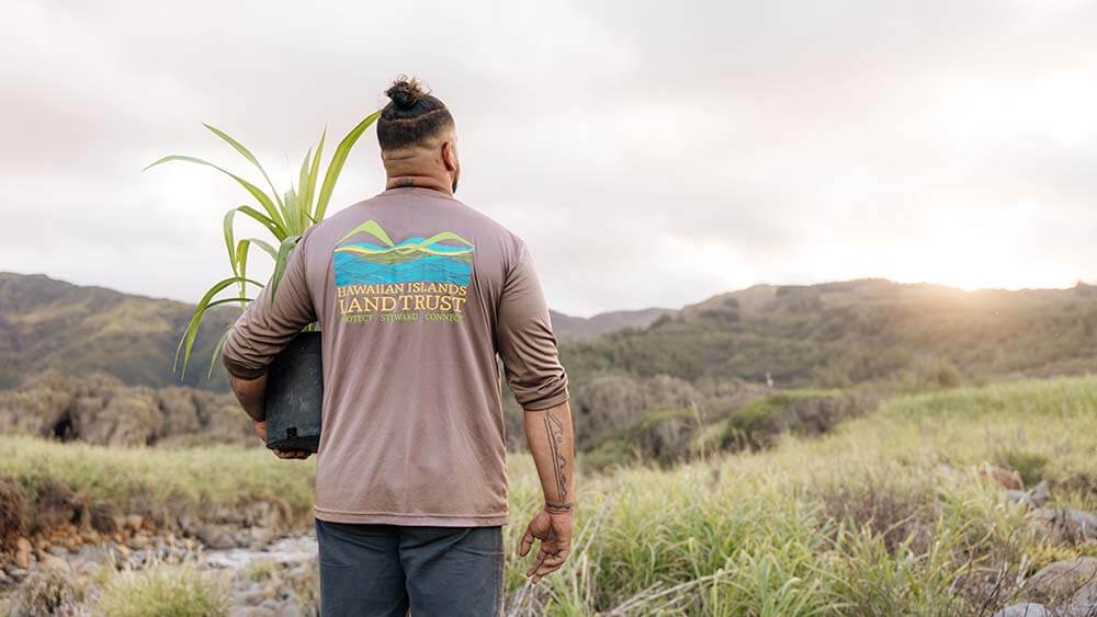 man walking with sapling in Hawaii