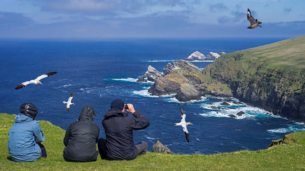 people bird watching on a Shetland Islands cliff looking over the North Sea