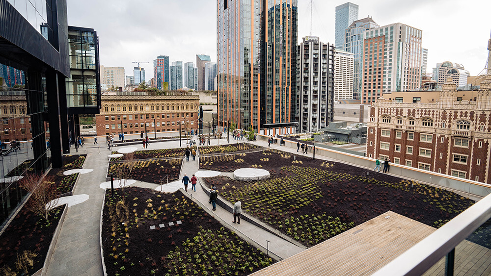 rooftop garden with city view