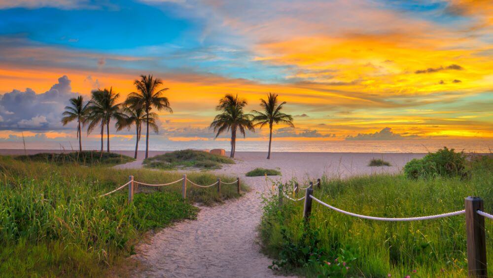 Discover the beauty of the Palm Beaches.