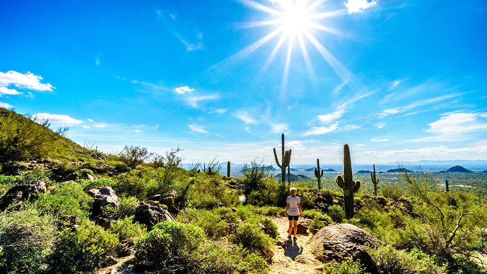 woman among cacti under bright desert sun