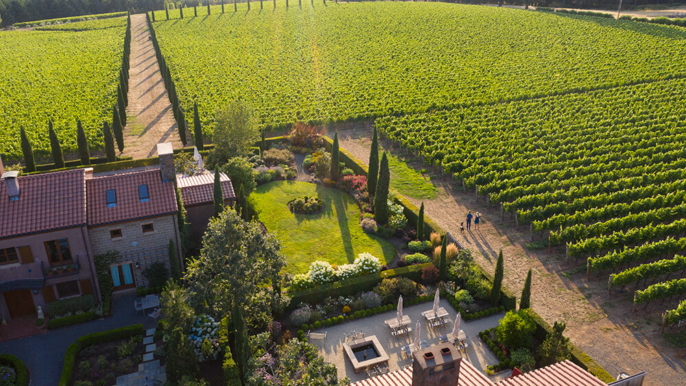 farmhouse surrounded by grape plants