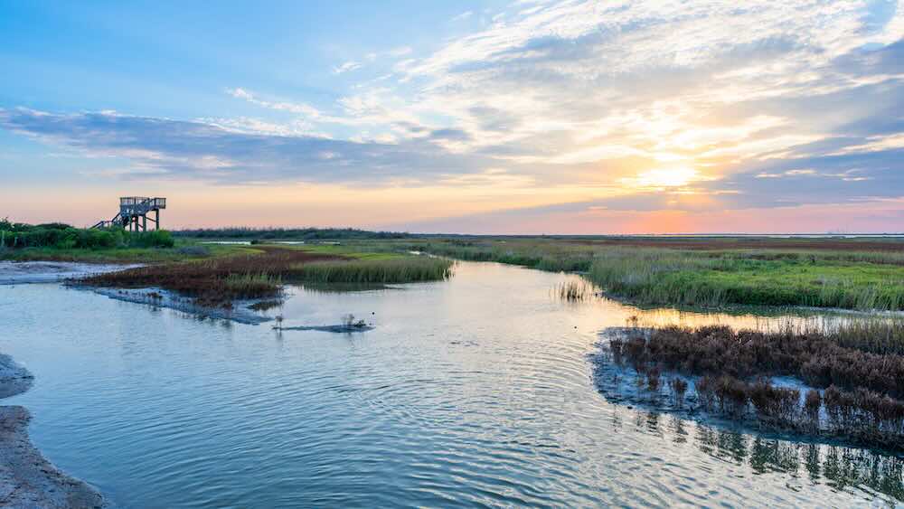 Hospitality professionals who work all along the Texas Gulf Coast will gather to collaborate on regenerative tourism practices.
