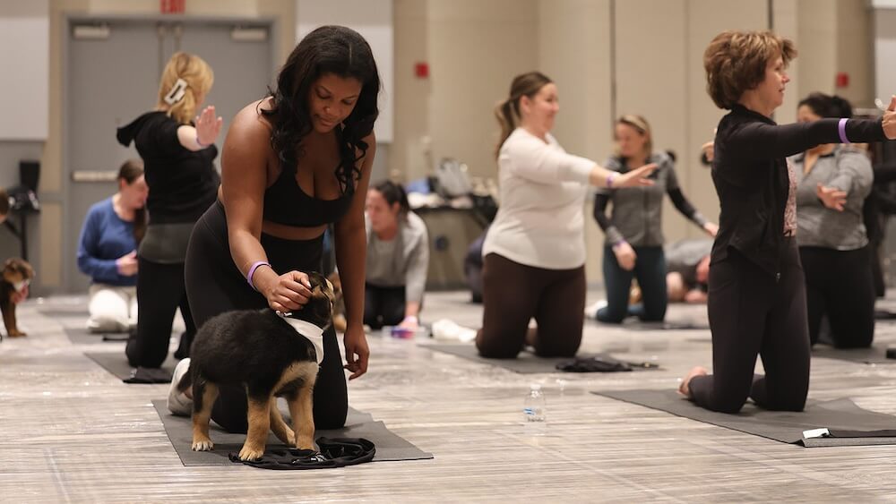 Puppy yoga was an invigorating workout for humans and canines alike.