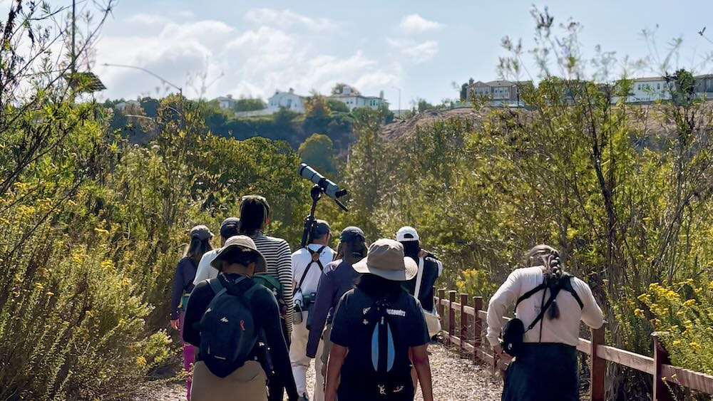Net Zero Conference attendees had the option to join a local guide for birdwatching.