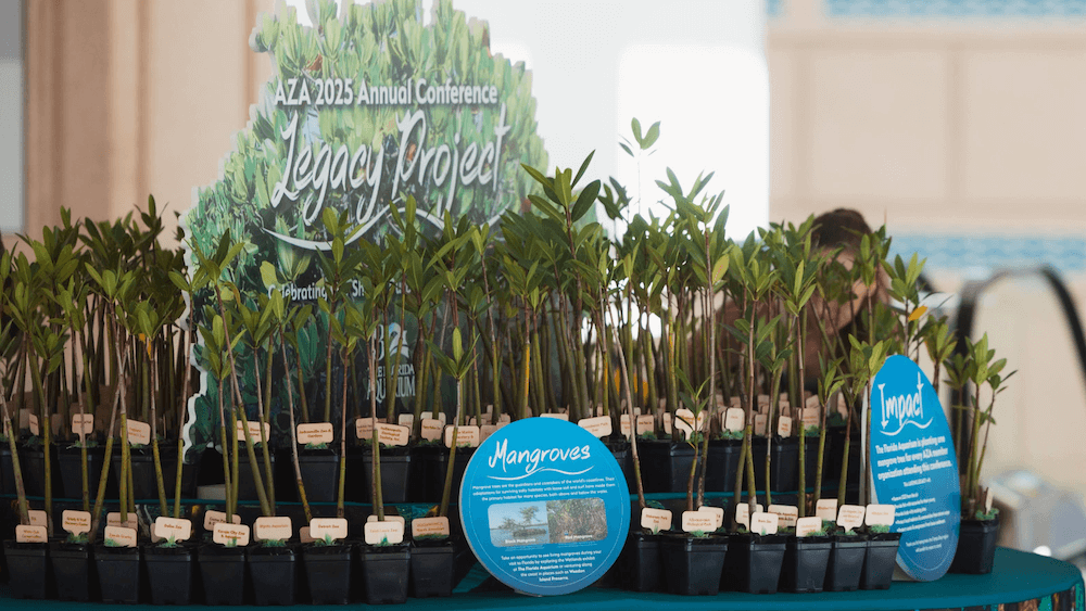 The 2025 Association of Zoos & Aquariums Annual Conference in Tampa contributed to coastal restoration by helping remove CO₂ from the atmosphere.