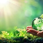 ‘Rebranding What Sustainability Is’