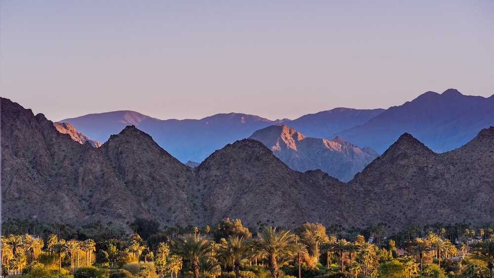 Later this month Visit Greater Palm Springs will launch a new customer advisory board model developed in partnership with PCMA. Photo: Adobe Stock