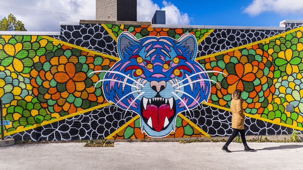 Milwaukee suburb Wauwatosa in home to the North Avenue Mural Arts District.